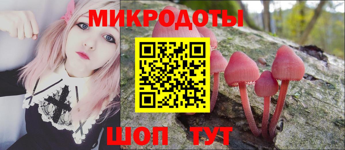 Псилоцибиновые грибы прущие грибы Донецк
